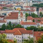 arbres à croissance très rapide