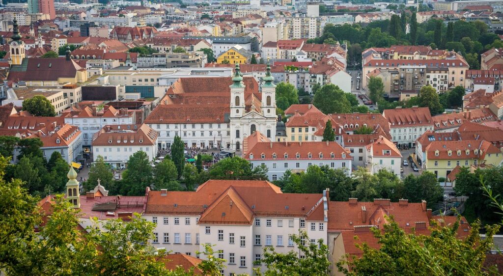arbres à croissance très rapide