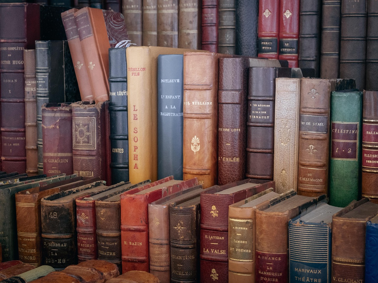 livres d’occasion