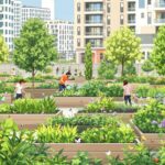 Comment les jardins urbains favorisent la biodiversité locale en ville ?