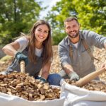 copeaux de bois gratuit