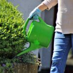 Pourquoi chaque propriétaire devrait investir dans un récupérateur d’eau de pluie