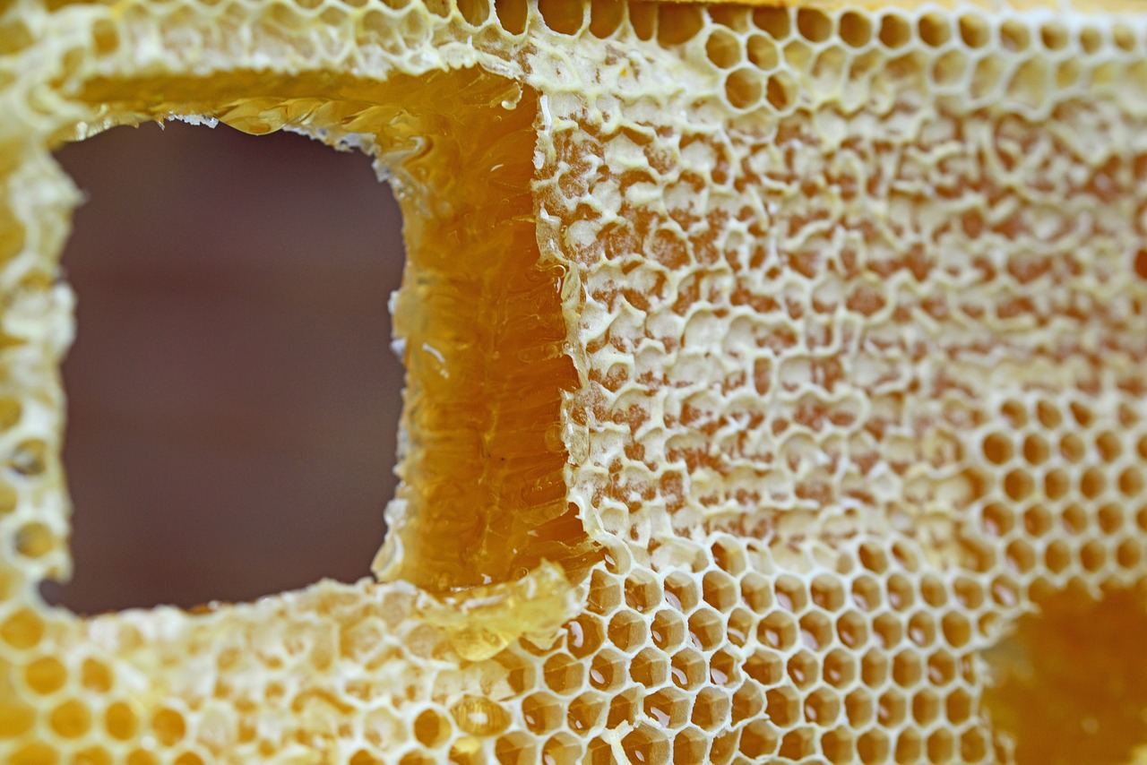 Cire d abeille : 10 façons d'utiliser la cire d'abeille - Pacte