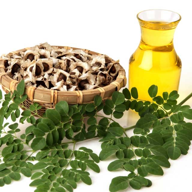 moringa