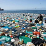 ou se situe le 7eme continent