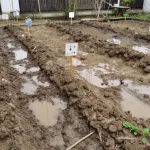 évacuation des eaux pluviales dans le sol
