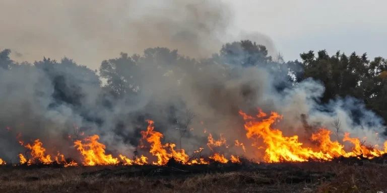 incendie de forêt dans le sud-est des bouches-du-rhône