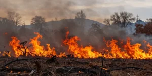 incendie de forêt dans le sud-est des bouches-du-rhône