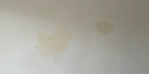 infiltration d'eau de pluie dans les murs