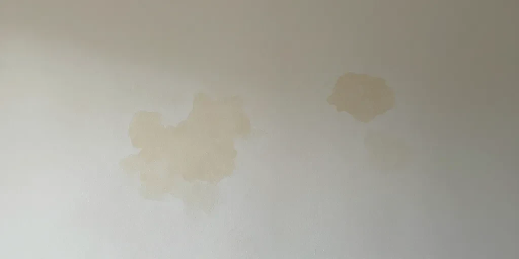 infiltration d'eau de pluie dans les murs